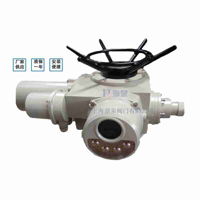 閥門電動裝置（dzw05,10,20，30,45,60，90,12