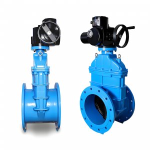 800電動(dòng)暗桿法蘭軟密封閘生產(chǎn)廠(chǎng)家