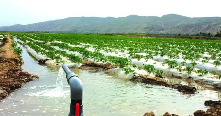 電動(dòng)閥門(mén)