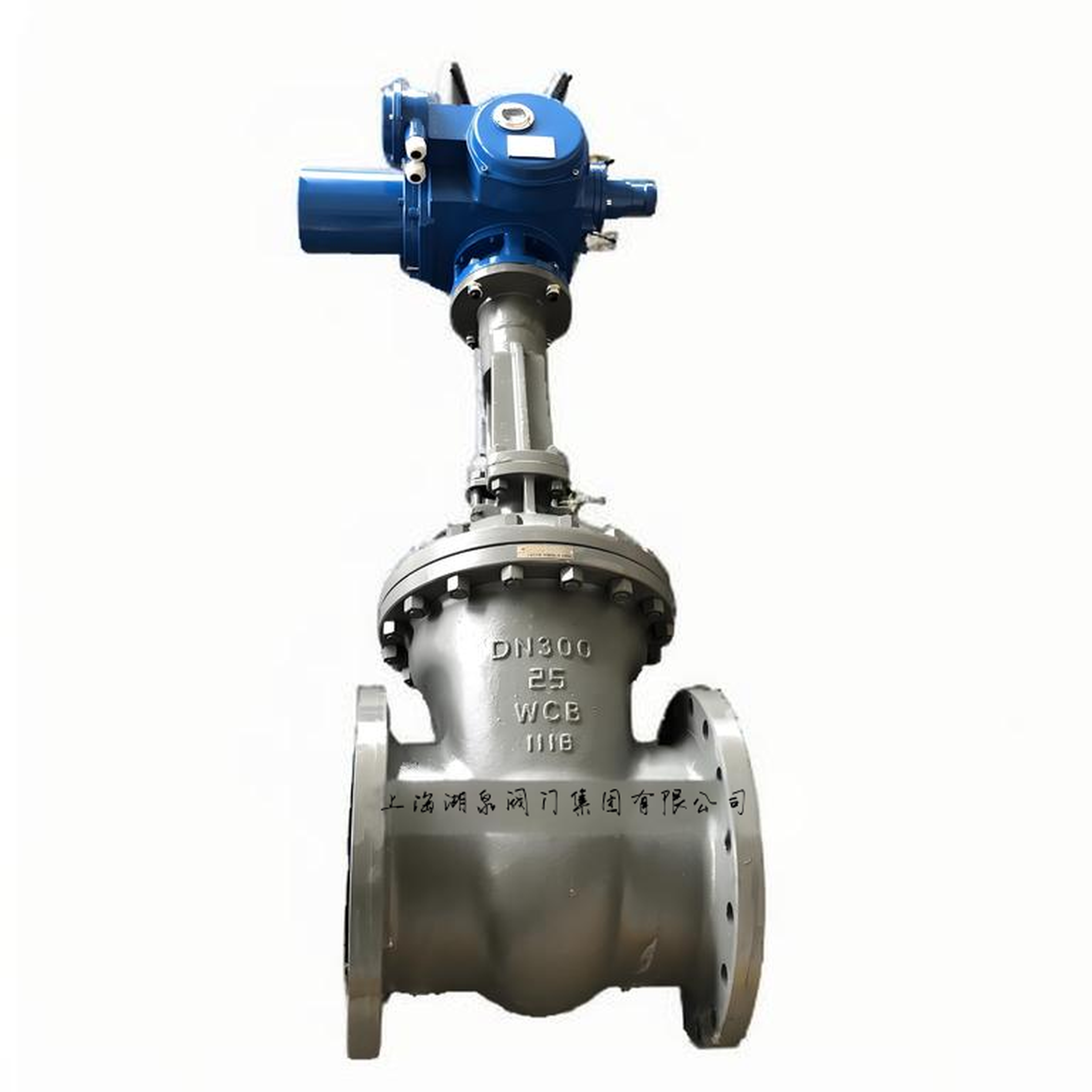 電動(dòng)閘閥Z941H-16C DN150帶法蘭墊片緊固件