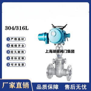 Z941W-16P，DN250，CF8/F304不銹鋼電動(dòng)閘閥